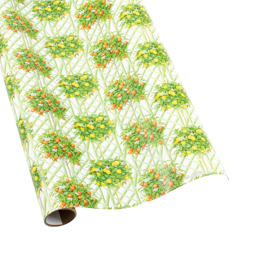 Citrus Topiaries Gift Wrapping Paper in White - 30" x 8' Roll