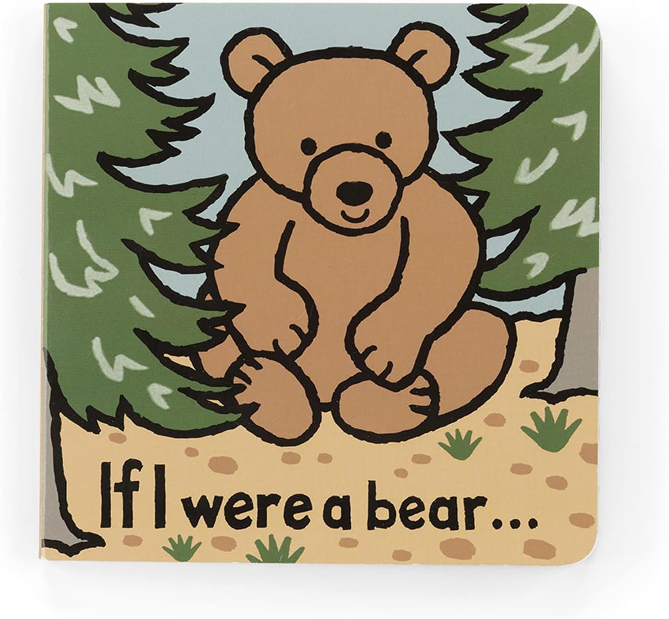 If I Were a Bear Book