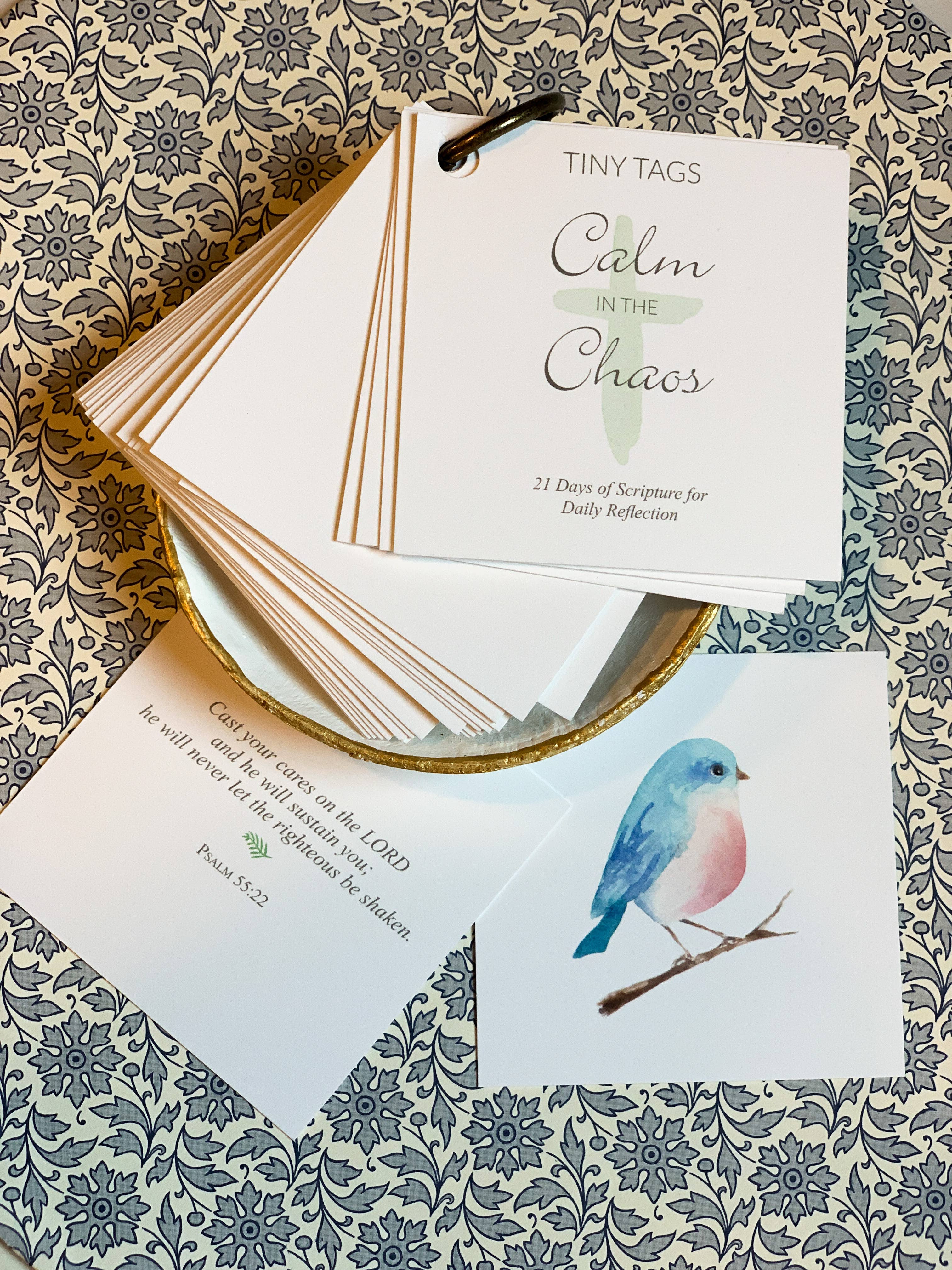 Calm in the Chaos Scripture Cards