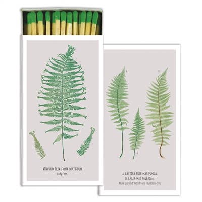 Matches - Ferns - White Background - Green