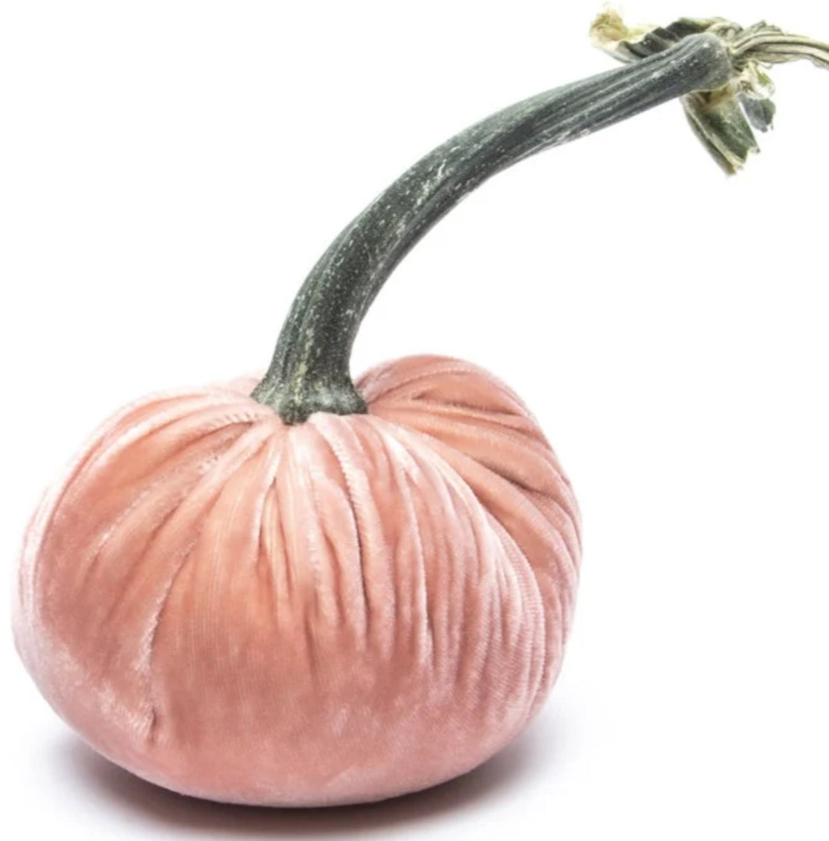 Velvet Pumpkins