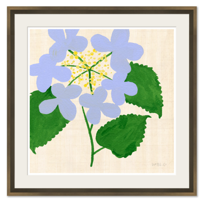 Soicher Marin Hydrangea (34.25 x 34.25)