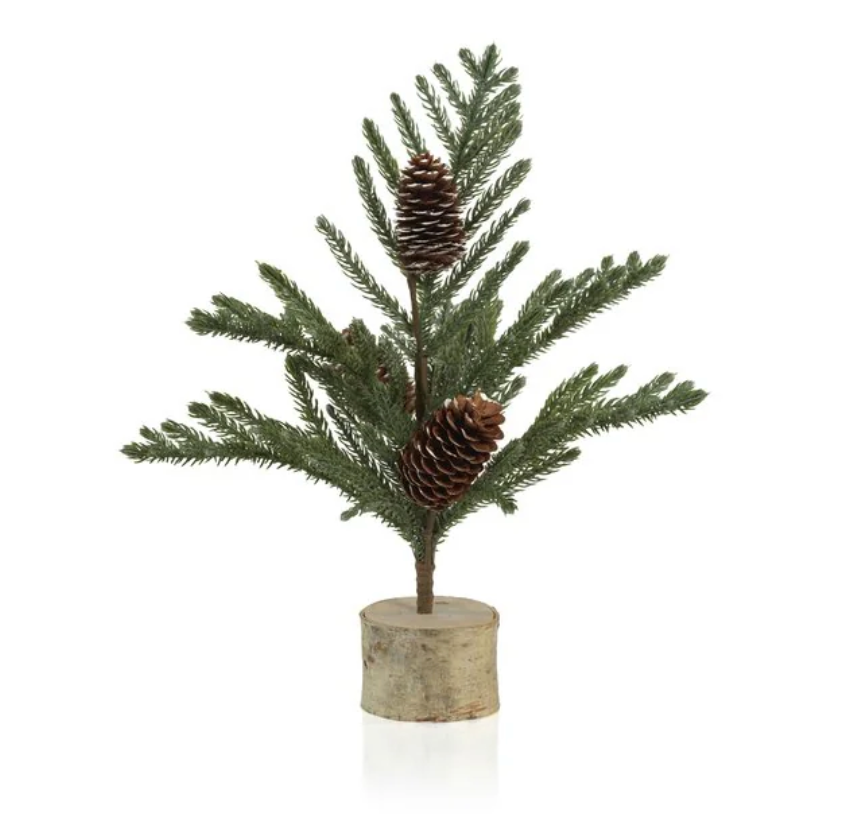 Spruce tree with small pinecones on birch base 19"