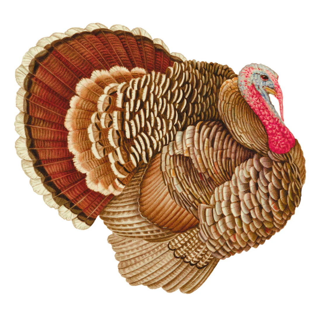 Turkey - Paper Placemats