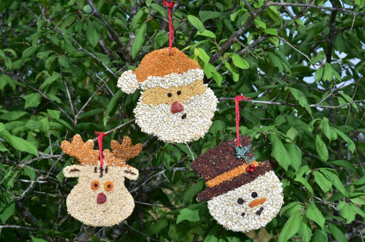 Christmas Cookie Assortment