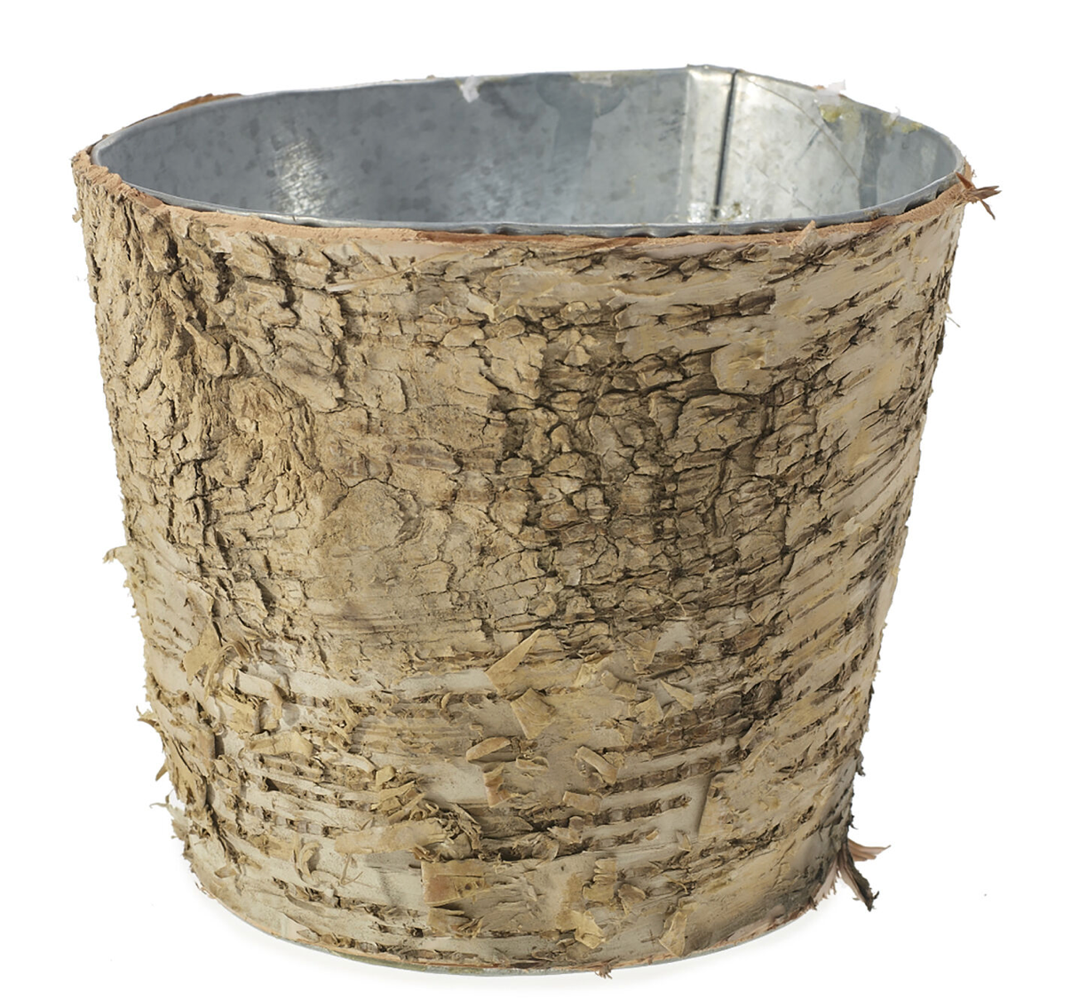 Birch Pot w/ Zinc