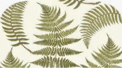 Ferns on Ivory Glass Cutting Board