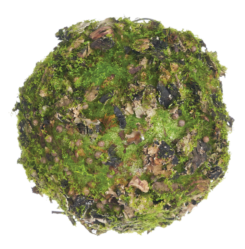 6"Moss Orb (Copy)