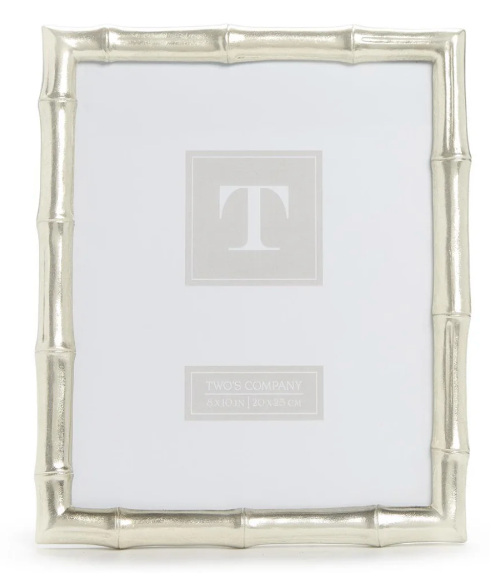 Silver Faux Bamboo Frame