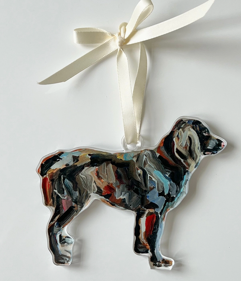 Boykin Acrylic Ornament