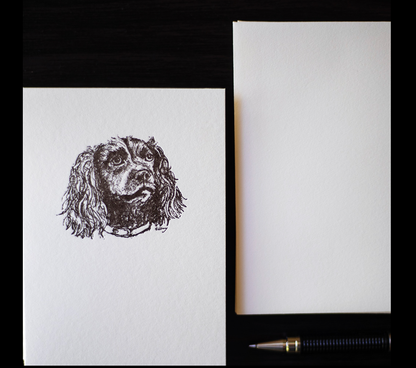 Spaniel Note Cards