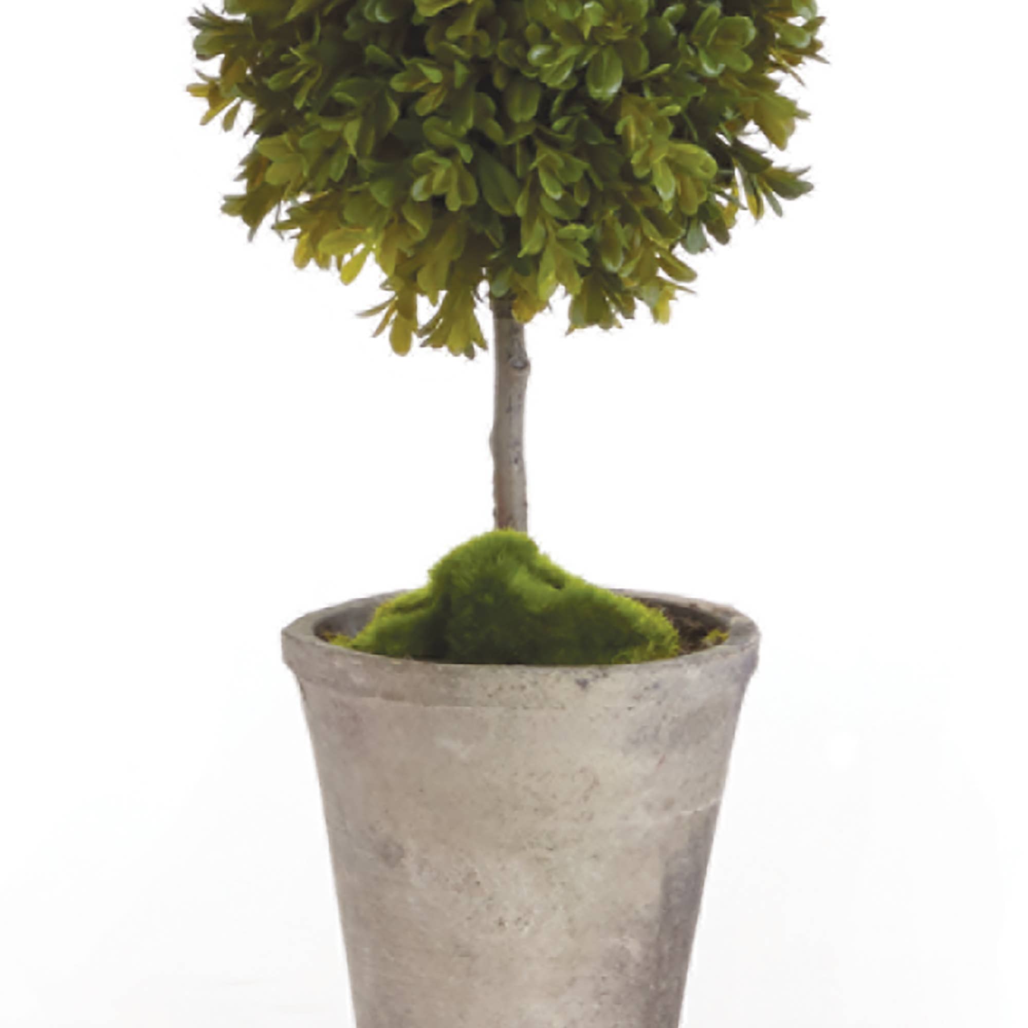 Barclay Butera Faux Boxwood Topiary Potted 25"