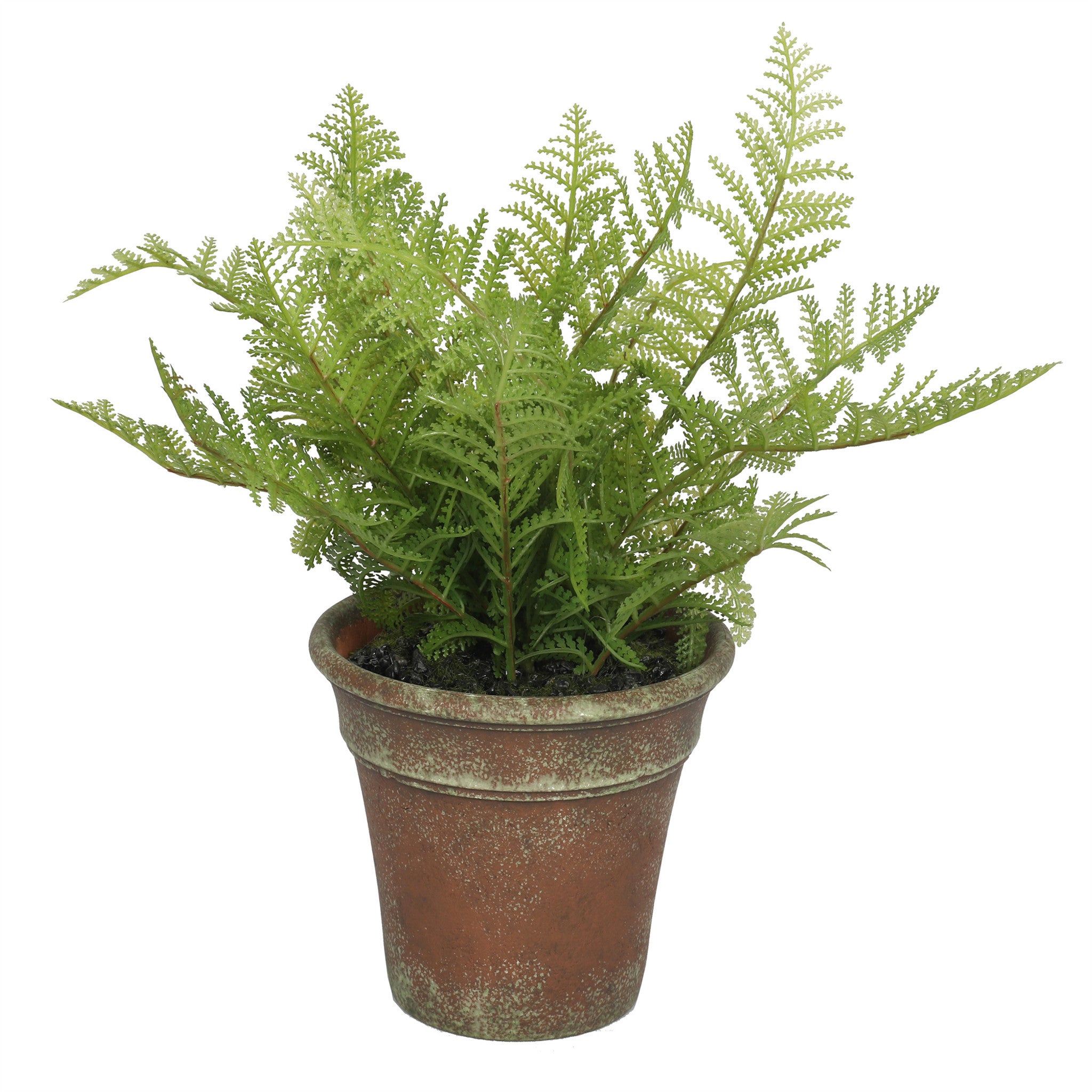 Mills Floral Forest Fern 13" Plant- Artificial