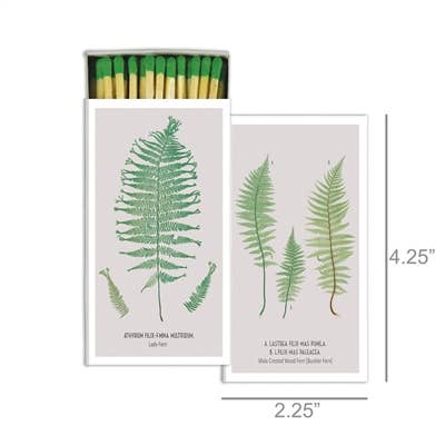 Matches - Ferns - White Background - Green